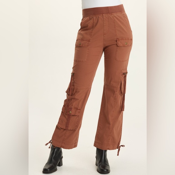 XCVI WEARABLES CHAUCER POPLIN CARGO PANT
 In Artisan Pigment - Picture 2 of 6